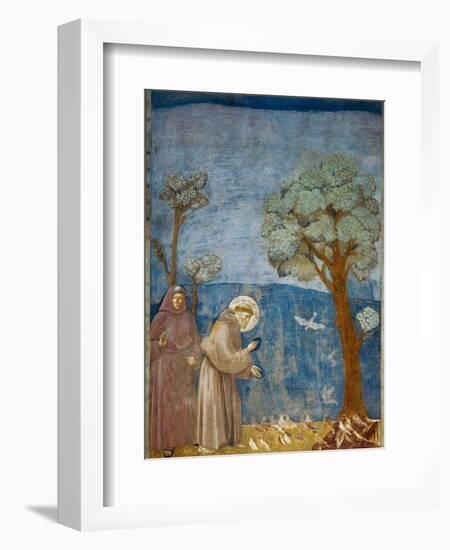 Preaching to the Birds-Giotto di Bondone-Framed Art Print