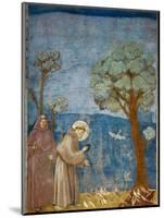 Preaching to the Birds-Giotto di Bondone-Mounted Art Print