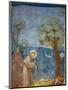 Preaching to the Birds-Giotto di Bondone-Mounted Art Print