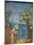 Preaching to the Birds-Giotto di Bondone-Mounted Art Print