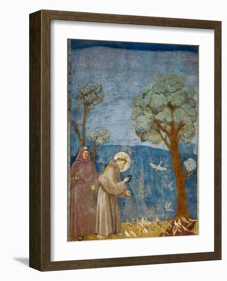 Preaching to the Birds-Giotto di Bondone-Framed Art Print