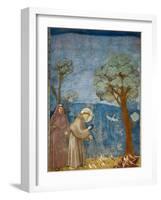 Preaching to the Birds-Giotto di Bondone-Framed Art Print