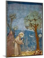 Preaching to the Birds-Giotto di Bondone-Mounted Art Print