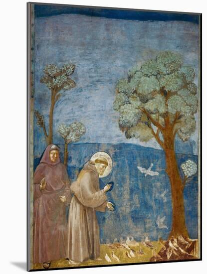 Preaching to the Birds-Giotto di Bondone-Mounted Art Print