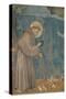 Preaching to the Birds-Giotto di Bondone-Stretched Canvas