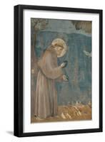 Preaching to the Birds-Giotto di Bondone-Framed Art Print