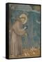 Preaching to the Birds-Giotto di Bondone-Framed Stretched Canvas