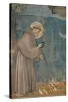 Preaching to the Birds-Giotto di Bondone-Stretched Canvas