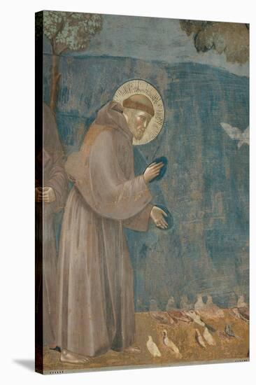 Preaching to the Birds-Giotto di Bondone-Stretched Canvas