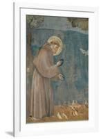 Preaching to the Birds-Giotto di Bondone-Framed Art Print