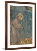 Preaching to the Birds-Giotto di Bondone-Framed Art Print