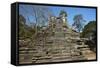 Preah Pithu Temple Group, Angkor Thom, Angkor World Heritage Site, Siem Reap, Cambodia-David Wall-Framed Stretched Canvas
