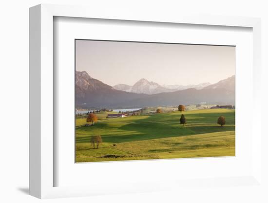 Prealps Landscape and Forggensee Lake at Sunset-Markus Lange-Framed Photographic Print