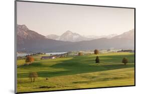 Prealps Landscape and Forggensee Lake at Sunset-Markus Lange-Mounted Photographic Print