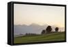 Prealps Landscape at Sunset, Fussen, Ostallgau, Allgau, Allgau Alps, Bavaria, Germany, Europe-Markus Lange-Framed Stretched Canvas