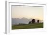 Prealps Landscape at Sunset, Fussen, Ostallgau, Allgau, Allgau Alps, Bavaria, Germany, Europe-Markus Lange-Framed Photographic Print