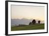 Prealps Landscape at Sunset, Fussen, Ostallgau, Allgau, Allgau Alps, Bavaria, Germany, Europe-Markus Lange-Framed Photographic Print