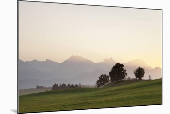 Prealps Landscape at Sunset, Fussen, Ostallgau, Allgau, Allgau Alps, Bavaria, Germany, Europe-Markus Lange-Mounted Photographic Print