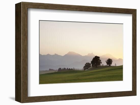 Prealps Landscape at Sunset, Fussen, Ostallgau, Allgau, Allgau Alps, Bavaria, Germany, Europe-Markus Lange-Framed Photographic Print