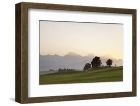 Prealps Landscape at Sunset, Fussen, Ostallgau, Allgau, Allgau Alps, Bavaria, Germany, Europe-Markus Lange-Framed Photographic Print