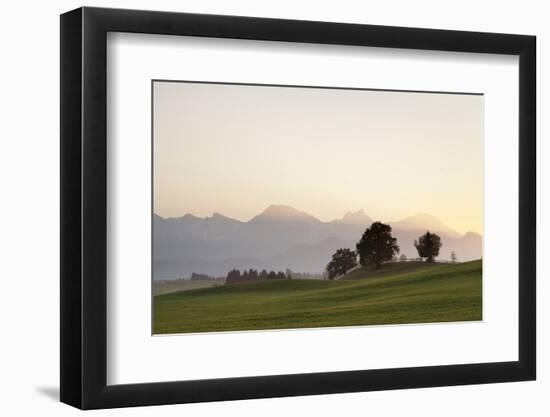 Prealps Landscape at Sunset, Fussen, Ostallgau, Allgau, Allgau Alps, Bavaria, Germany, Europe-Markus Lange-Framed Photographic Print