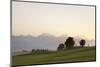 Prealps Landscape at Sunset, Fussen, Ostallgau, Allgau, Allgau Alps, Bavaria, Germany, Europe-Markus Lange-Mounted Photographic Print