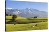 Prealps Landscape with a Cottage and Cows-Markus Lange-Stretched Canvas