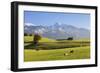 Prealps Landscape with a Cottage and Cows-Markus Lange-Framed Photographic Print