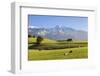 Prealps Landscape with a Cottage and Cows-Markus Lange-Framed Photographic Print