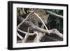 Precarious Approach-Staffan Widstrand-Framed Giclee Print