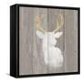 Precious Antlers II on Gray Wood-Wellington Studio-Framed Stretched Canvas
