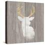 Precious Antlers II on Gray Wood-Wellington Studio-Stretched Canvas