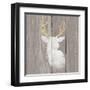 Precious Antlers II on Gray Wood-Wellington Studio-Framed Art Print