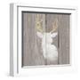 Precious Antlers II on Gray Wood-Wellington Studio-Framed Art Print