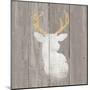 Precious Antlers II on Gray Wood-Wellington Studio-Mounted Art Print