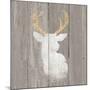 Precious Antlers II on Gray Wood-Wellington Studio-Mounted Art Print