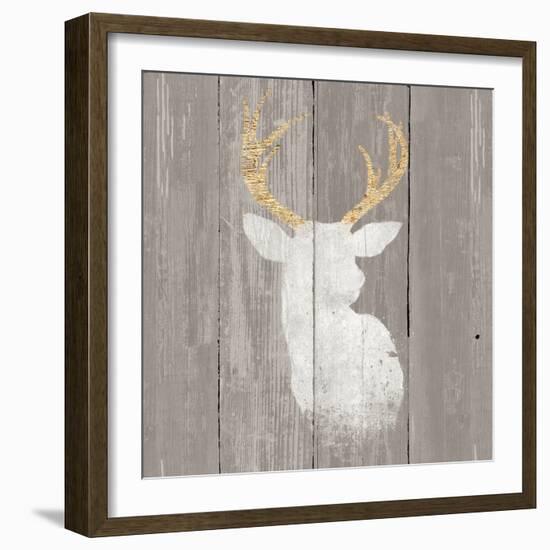 Precious Antlers II on Gray Wood-Wellington Studio-Framed Art Print