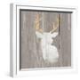 Precious Antlers II on Gray Wood-Wellington Studio-Framed Art Print