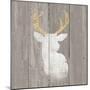 Precious Antlers II on Gray Wood-Wellington Studio-Mounted Art Print