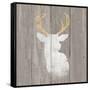 Precious Antlers II on Gray Wood-Wellington Studio-Framed Stretched Canvas