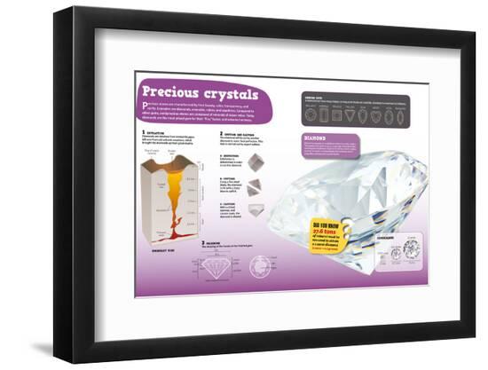 Premium Photographic Print, , large