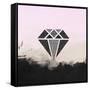 Precious Diamond-Tina Lavoie-Framed Stretched Canvas