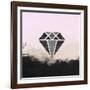 Precious Diamond-Tina Lavoie-Framed Giclee Print