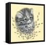 Precious Kitty-Peggy Harris-Framed Stretched Canvas