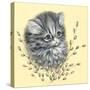 Precious Kitty-Peggy Harris-Stretched Canvas