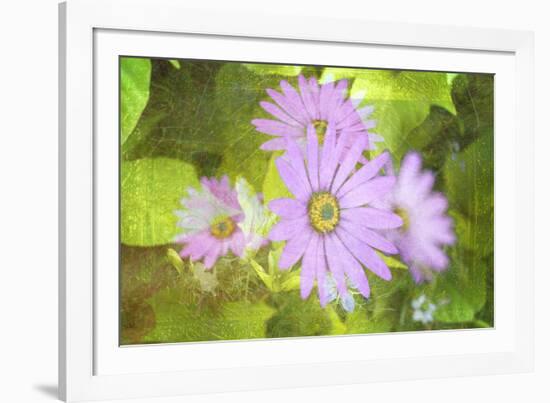 Precious Moments-Viviane Fedieu Daniel-Framed Photographic Print