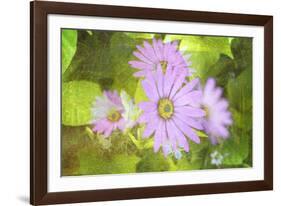 Precious Moments-Viviane Fedieu Daniel-Framed Photographic Print