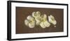 Precious Poppies-Janel Pahl-Framed Giclee Print