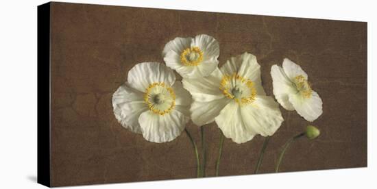 Precious Poppies-Janel Pahl-Stretched Canvas
