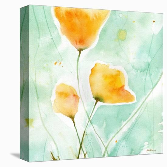 Precious Poppies-Sheila Golden-Stretched Canvas